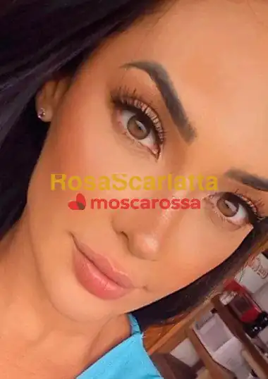 Foto 2 di Sofia, escort a Rimini