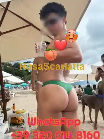 Disponibile - Torino