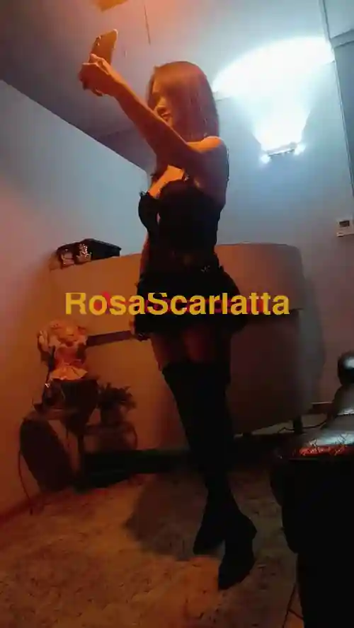 Terza immagine della gallery