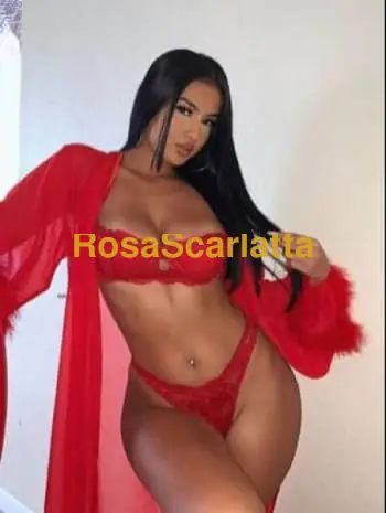 Sarda