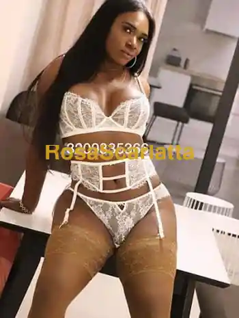 Paloma - Trans Salerno