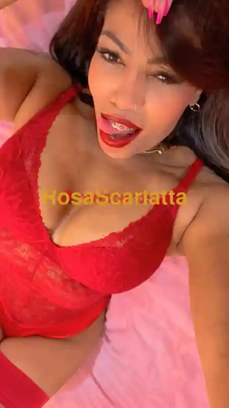 Foto 2 di Fernanda, escort a Milano