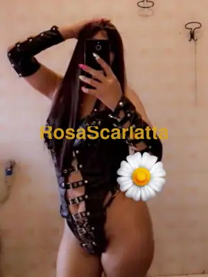 Rosita - Escort Bra