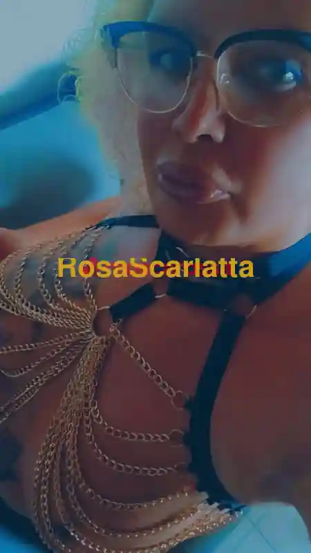 Seconda immagine della gallery