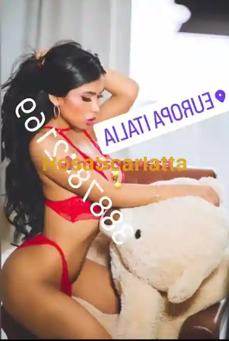 Foto 3 di Mafer fox, trans a Venezia