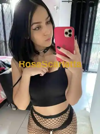 Elina sesto - Sesto San Giovanni