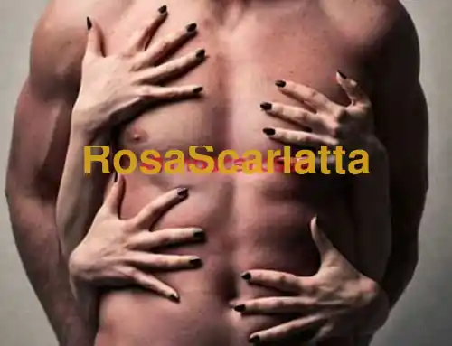 Foto 3 di Alessia e perla, escort a Bagnacavallo