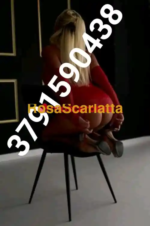 Seconda immagine della gallery