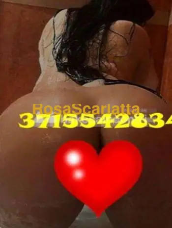 Foto 1 di Sara, escort a Feltre