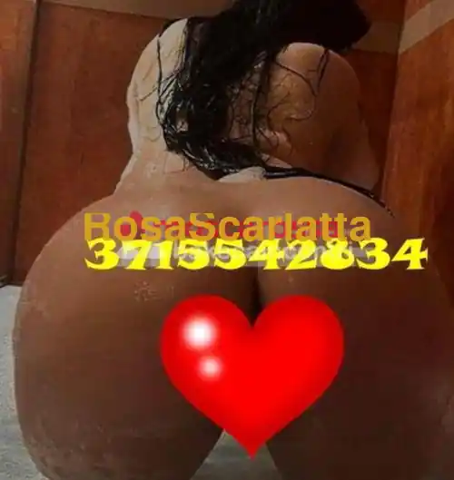 Foto 2 di Sara, escort a Feltre