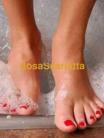 Sofi