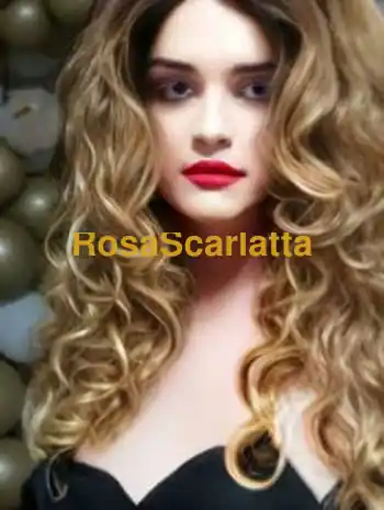 Megadonte trans - Trans Piacenza