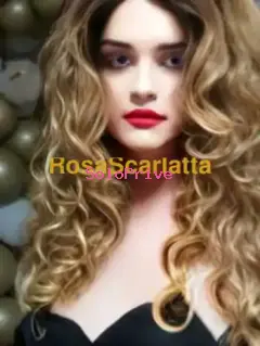 Megadonte trans