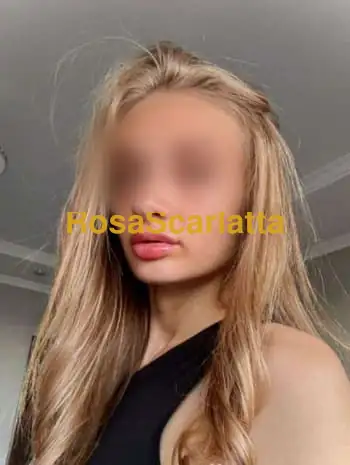 New