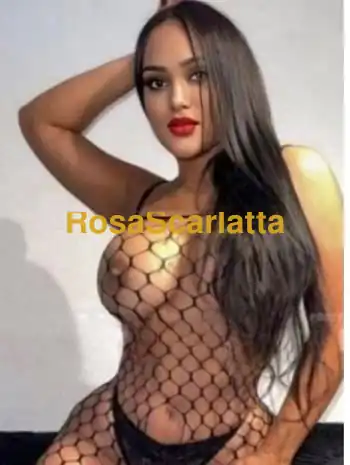 Vanessa