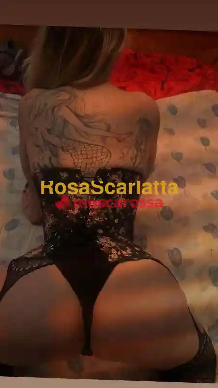 Foto 2 di Jessica, trans a San Bonifacio