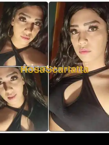 Raicca trans