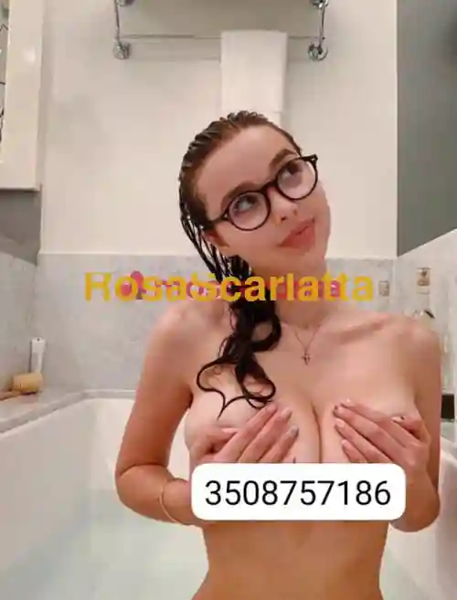 Foto 3 di Sofia, escort a Gallarate