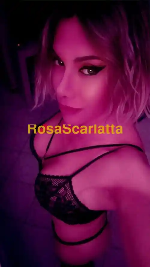 Foto 2 di Sara italiana, trans a Conegliano