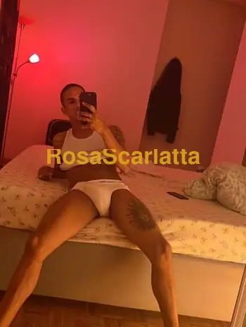 Matteo