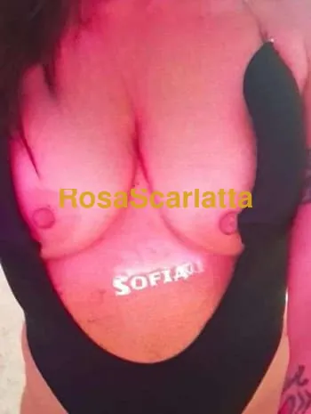 Sofia