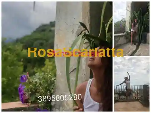 Foto 3 di Ts carolina francesina, trans a Roma