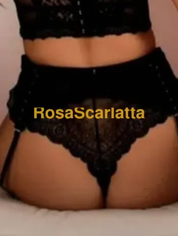 Sabrina - Novi Ligure