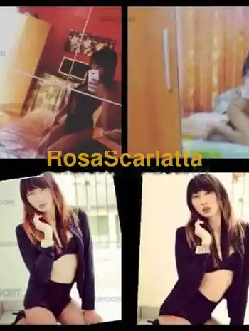 new new trans asiatica