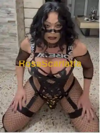 Porconatrans