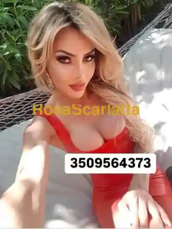 Bellissima calda