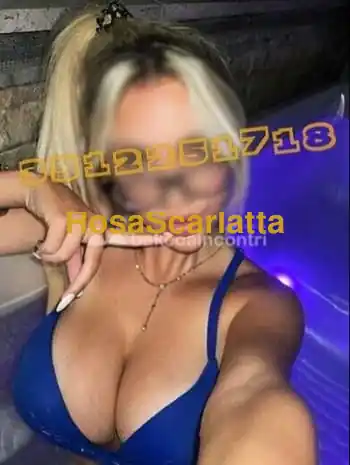 Stella