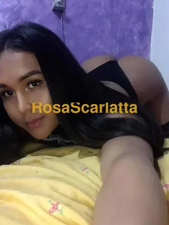 Colorina - Trans Montevarchi