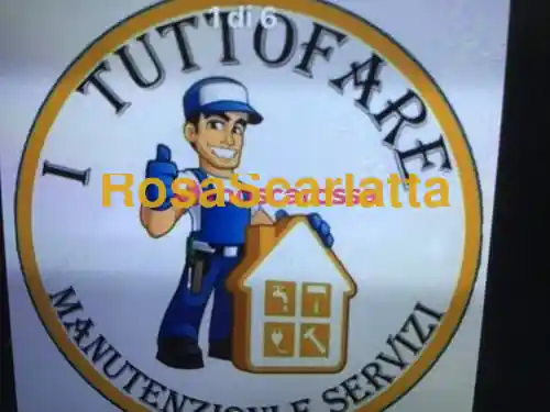 Seconda immagine della gallery