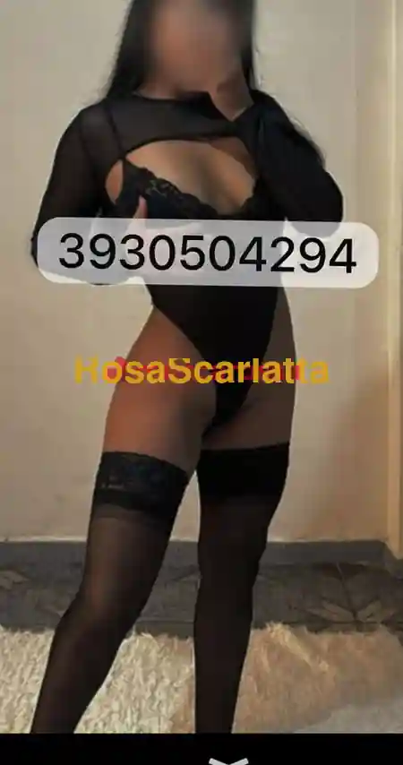 Foto 3 di Erika, escort a Rapallo