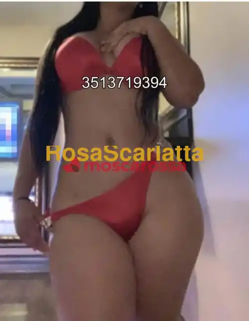 Foto 3 di Novita, escort a Fano