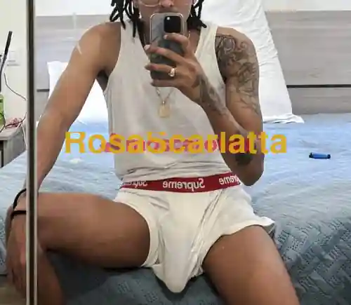 Seconda immagine della gallery