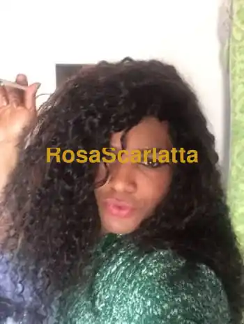 Bruna selvaggia