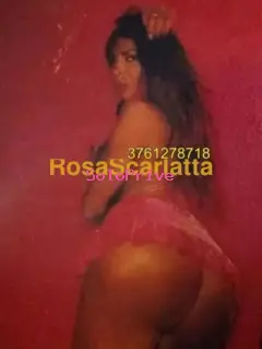 New