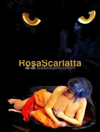 Tantrarosespine