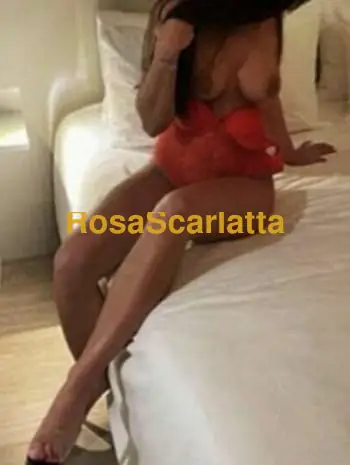 Eccitante novita in citta