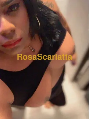 Canella