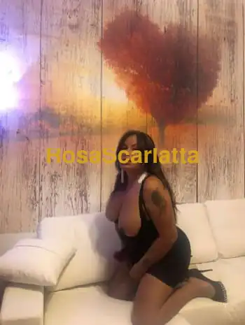kendy bella trans milf a novara