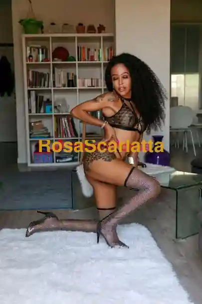 Foto 3 di trans a Arcore