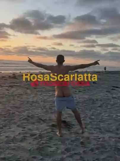 Foto 3 di Trans, trans a Crema