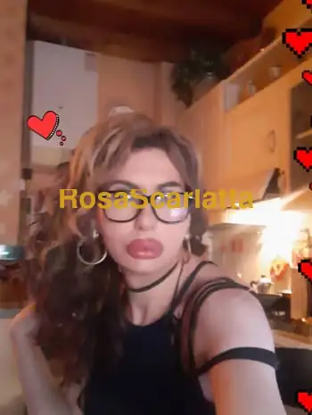 Trans italiana