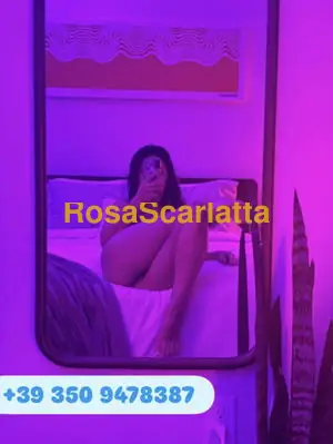 Elisa