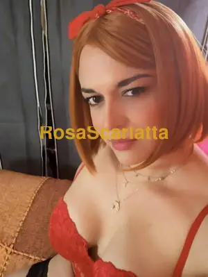 Vick la sfuriata del amore - Trans Alessandria