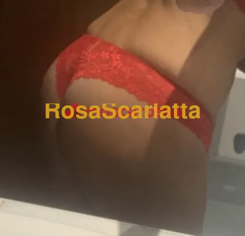 Foto 3 di Fabiana, escort a Verona