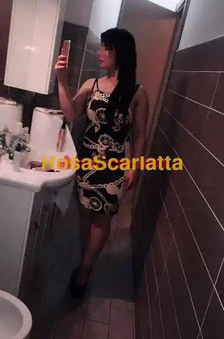 Foto 3 di Sofia, escort a Orbassano