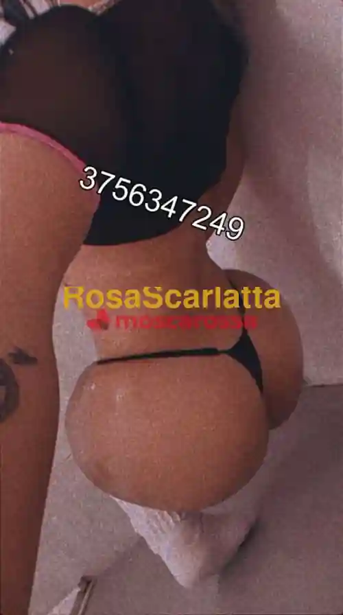 img_4.jpg